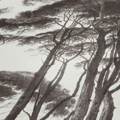 Vliestapete HISTORY OF ART - schwarz-weiß - 10 Meter 5 Vliestapete HISTORY OF ART - schwarz-weiß - 10 Meter -Baumarkt Verkaufsgeschäft 9004573200 04 1600Wx1600H