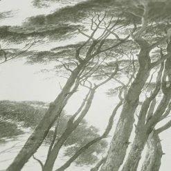 Vliestapete HISTORY OF ART - grün-weiß - 10 Meter 5 Vliestapete HISTORY OF ART - grün-weiß - 10 Meter -Baumarkt Verkaufsgeschäft 9004573300 04 1600Wx1600H