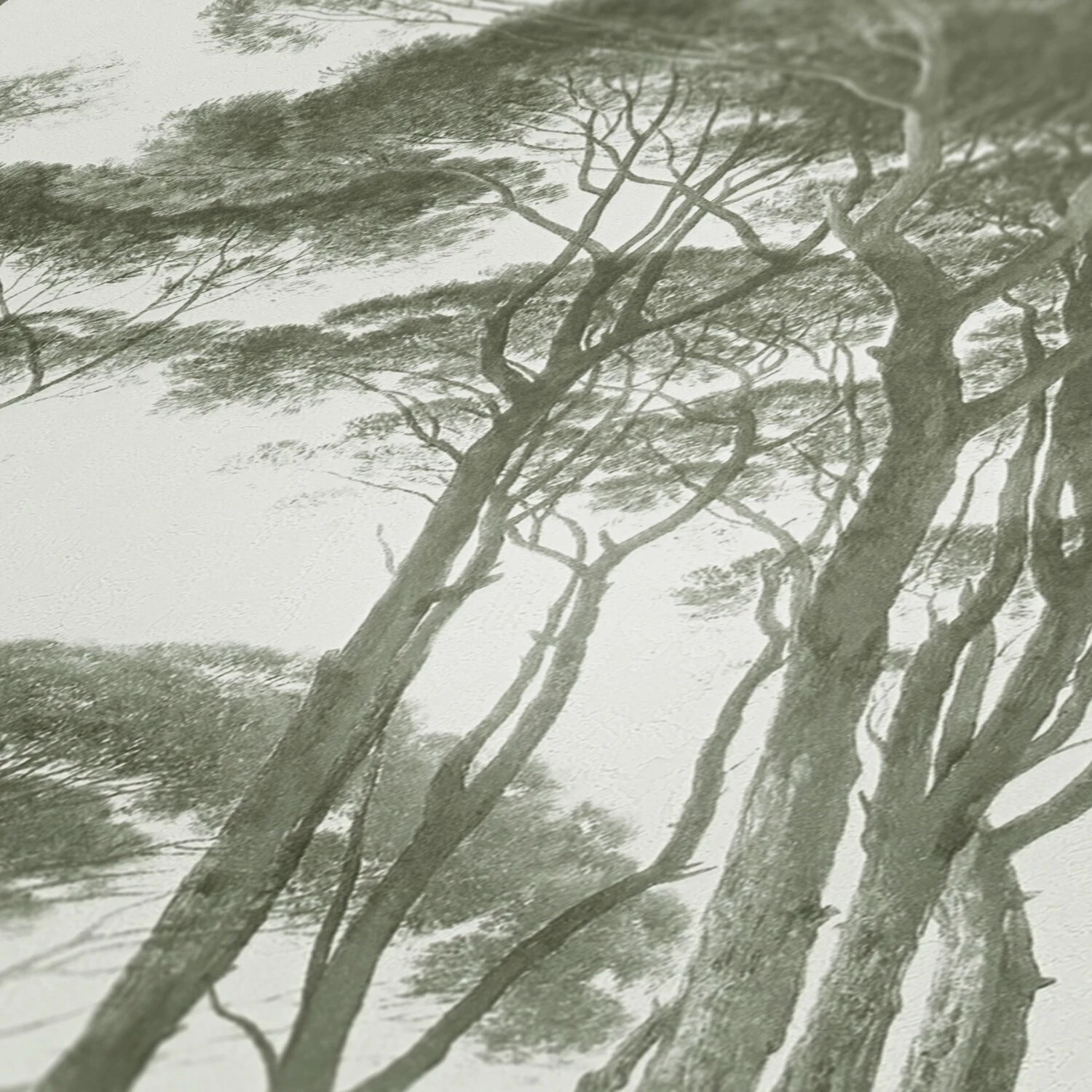 Vliestapete HISTORY OF ART - grün-weiß - 10 Meter 3 Vliestapete HISTORY OF ART - grün-weiß - 10 Meter – Bild 3