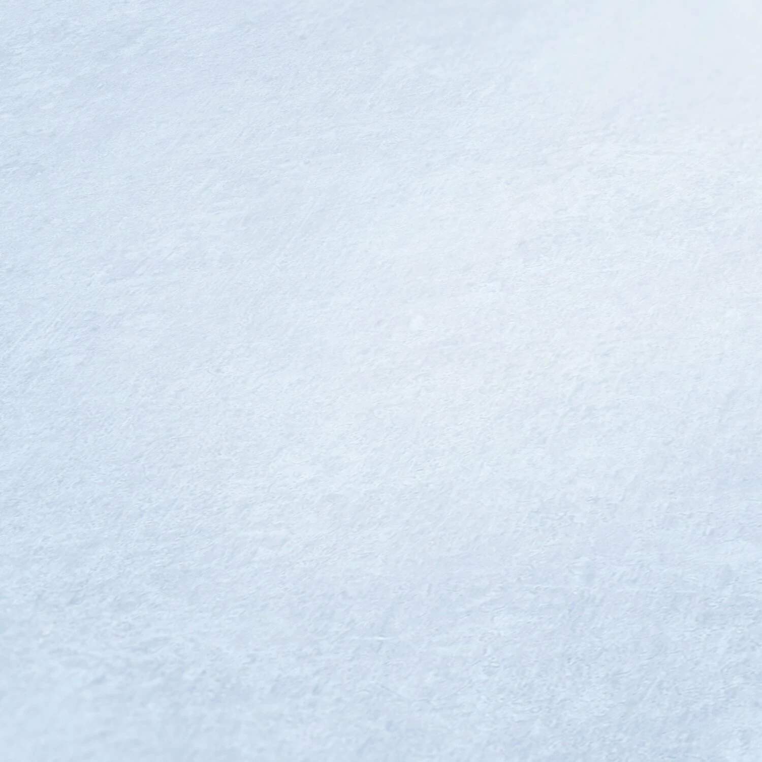 Vliestapete HISTORY OF ART - weiß - 10 Meter 3 Vliestapete HISTORY OF ART - weiß - 10 Meter – Bild 3