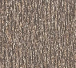 Vliestapete IL DECORO - braun-beige - 10 Meter