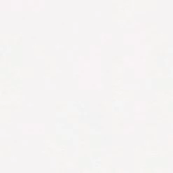 Vliestapete MEISTERVLIES 2020 - weiß - 25 Meter