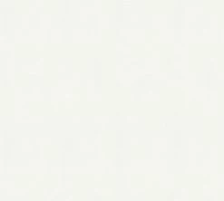 Vliestapete MEISTERVLIES 2020 - weiß - 25 Meter