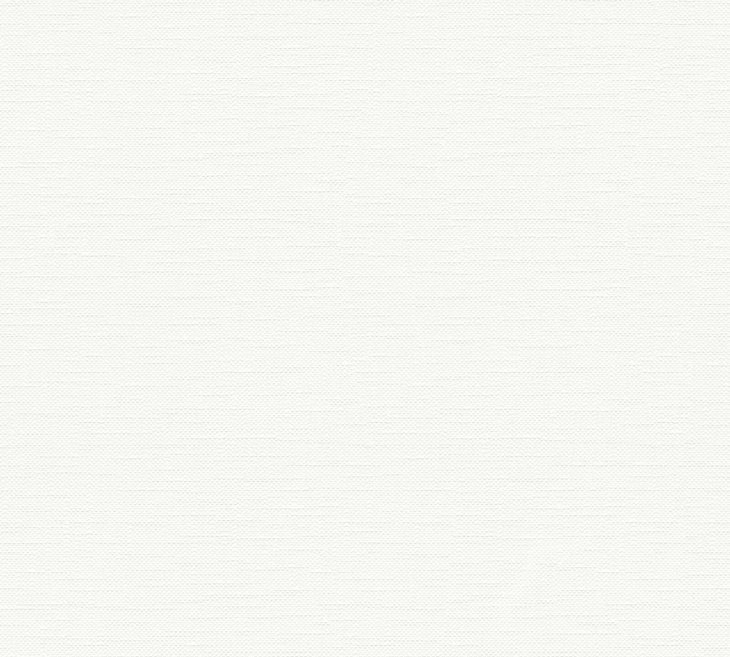 Vliestapete MEISTERVLIES 2020 - weiß - 10 Meter 1 Vliestapete MEISTERVLIES 2020 - weiß - 10 Meter