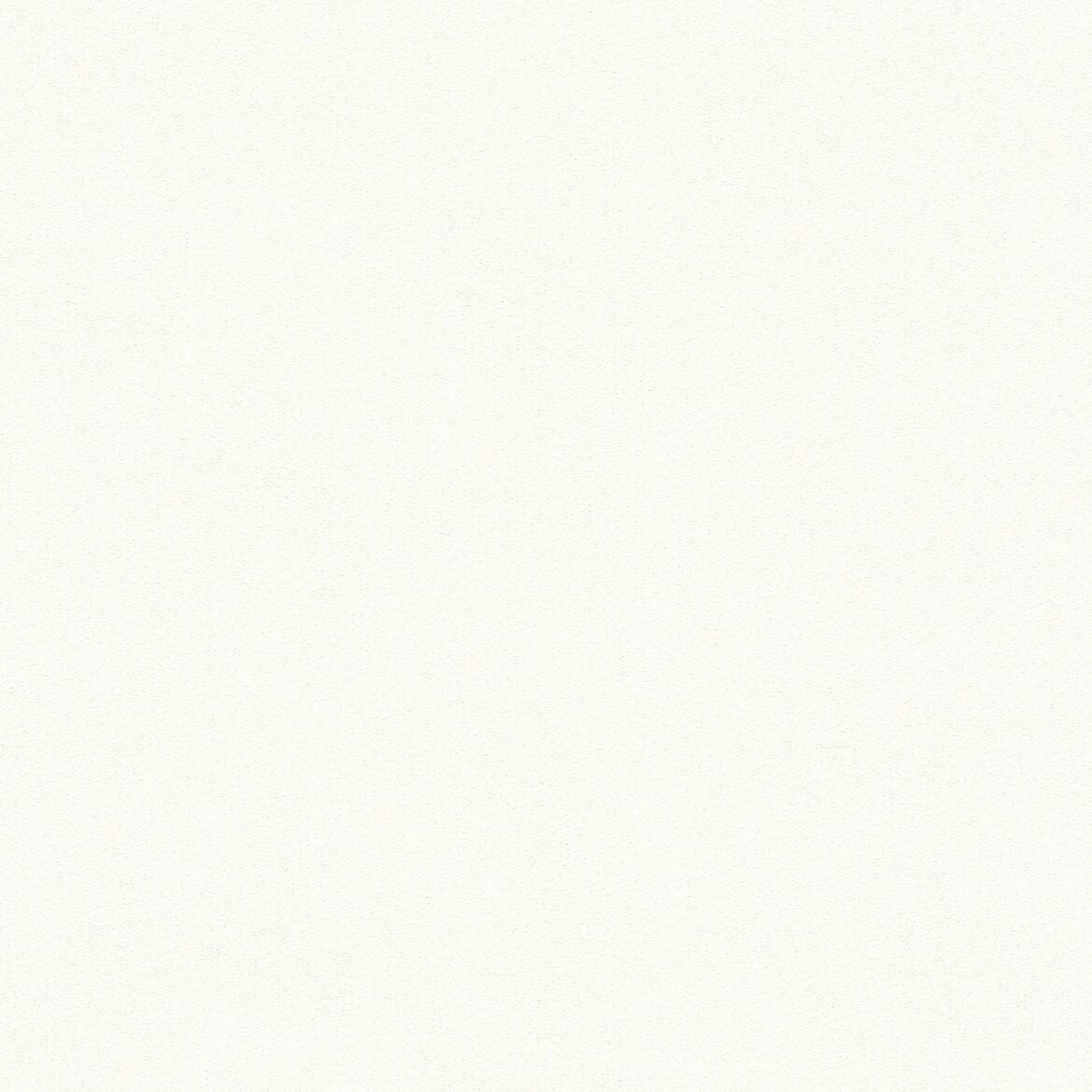 Vliestapete MEISTERVLIES 2020 - weiß - 21 Meter 2 Vliestapete MEISTERVLIES 2020 - weiß - 21 Meter – Bild 2