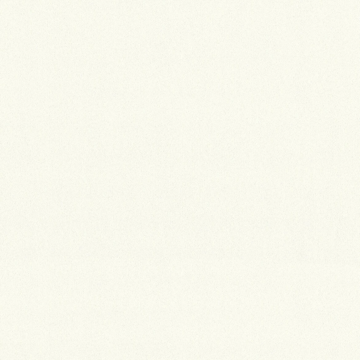 Vliestapete MEISTERVLIES 2020 - weiß - 21 Meter 2 Vliestapete MEISTERVLIES 2020 - weiß - 21 Meter – Bild 2