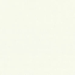 Vliestapete MEISTERVLIES 2020 - weiß - 21 Meter