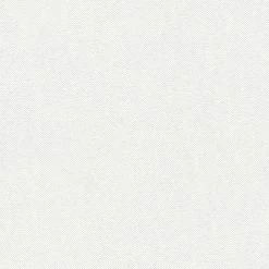 Vliestapete MEISTERVLIES 2020 - weiß - 10 Meter