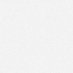 Vliestapete MEISTERVLIES 2020 - weiß - 10 Meter -Baumarkt Verkaufsgeschäft 9004604700 04 1600Wx1600H