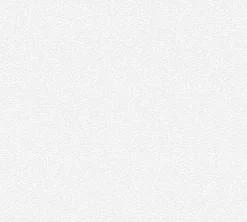 Vliestapete MEISTERVLIES 2020 - weiß - 10 Meter