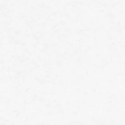 Vliestapete MEISTERVLIES 2020 - weiß - 25 Meter 5 Vliestapete MEISTERVLIES 2020 - weiß - 25 Meter -Baumarkt Verkaufsgeschäft 9004605200 04 1600Wx1600H