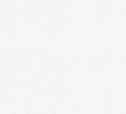 Vliestapete MEISTERVLIES 2020 - weiß - 25 Meter