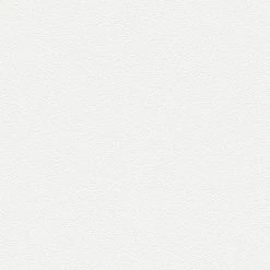 Vliestapete MEISTERVLIES 2020 - weiß - 10 Meter 5 Vliestapete MEISTERVLIES 2020 - weiß - 10 Meter -Baumarkt Verkaufsgeschäft 9004605400 04 1600Wx1600H