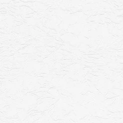 Vliestapete UNI - weiß - 10 Meter -Baumarkt Verkaufsgeschäft 9004605800 04 1600Wx1600H