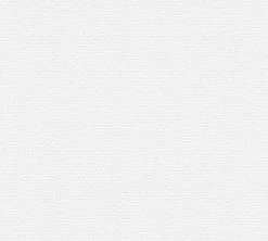 Vliestapete MEISTERVLIES 2020 - weiß - 10 Meter