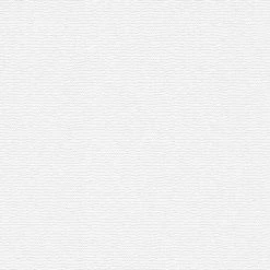 Vliestapete MEISTERVLIES 2020 - weiß - 25 Meter