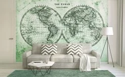 Fototapete DESIGNWALLS - grün-grau - Weltkarte - 2,55 Meter -Baumarkt Verkaufsgeschäft 9004629400 03 1600Wx1600H