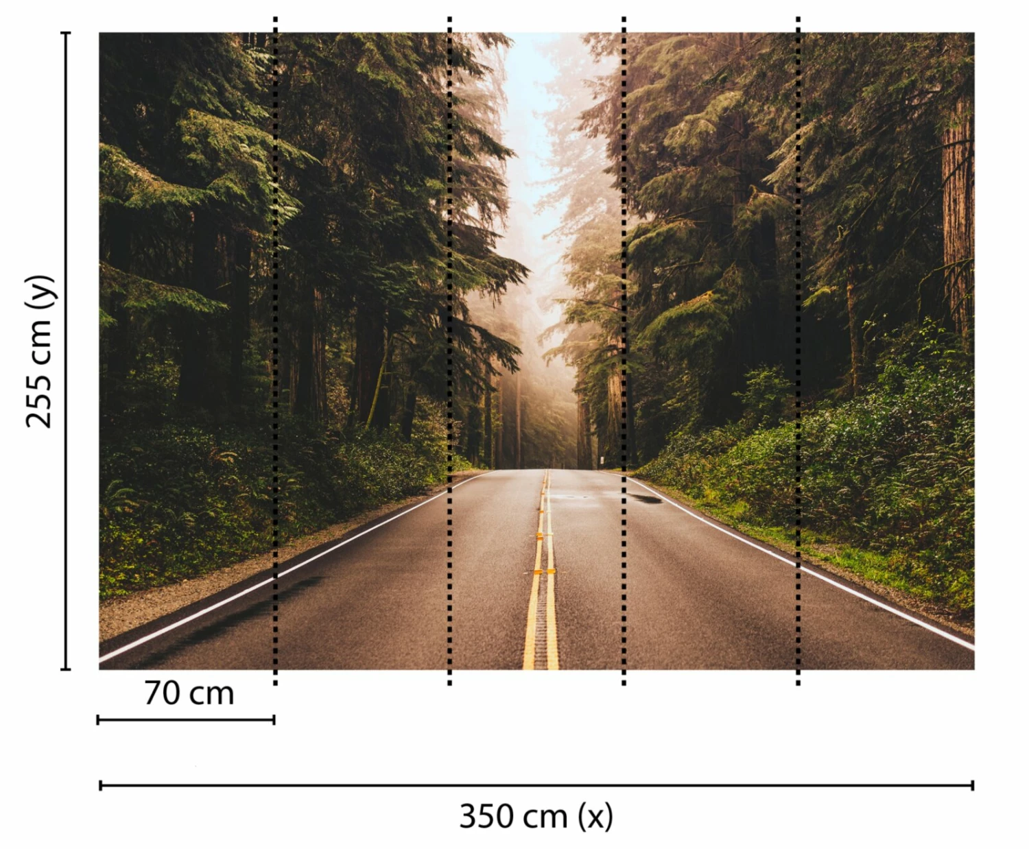 Fototapete DESIGNWALLS - braun-grün - Wald - 2,55 Meter 2 Fototapete DESIGNWALLS - braun-grün - Wald - 2,55 Meter – Bild 2