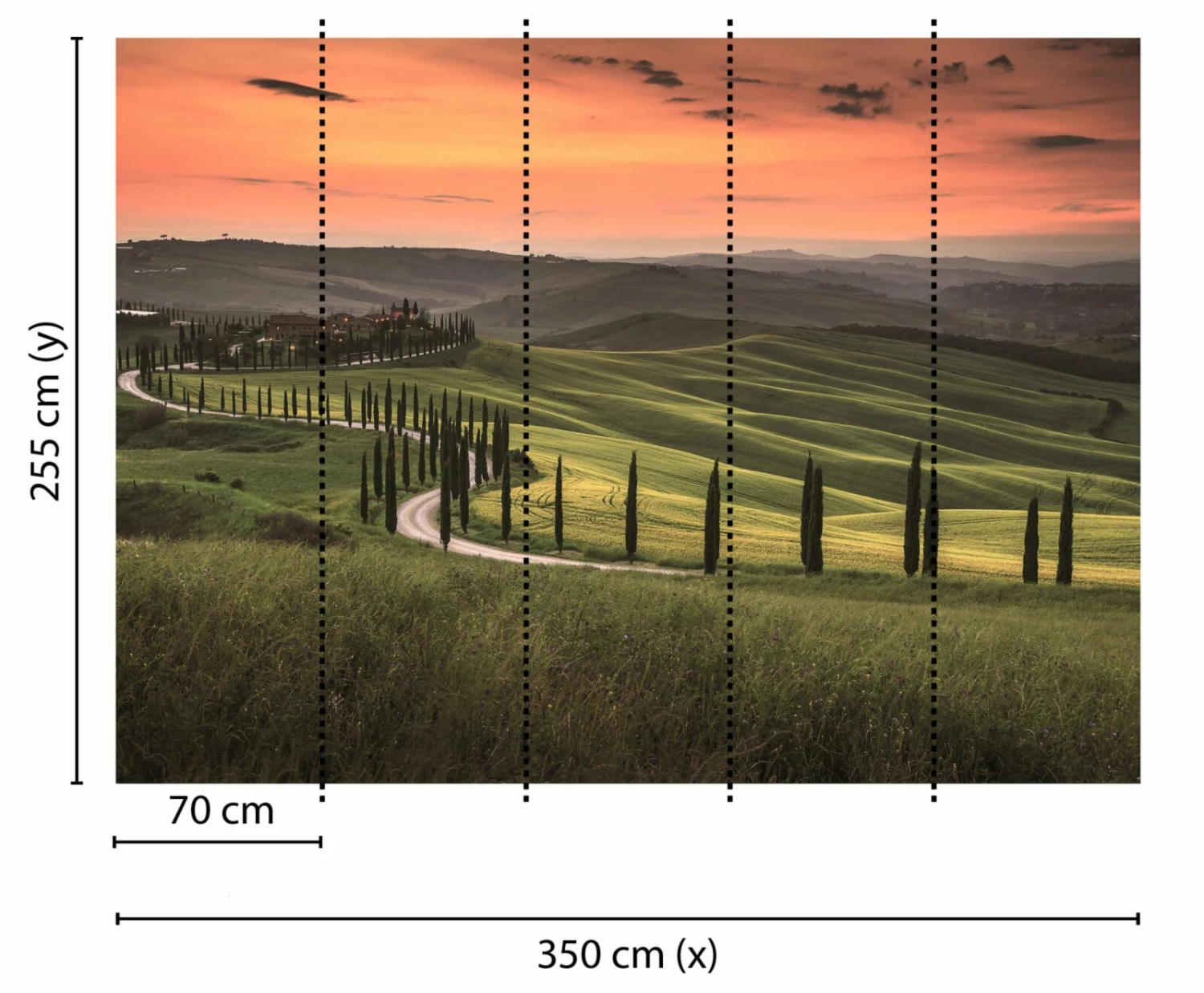 Fototapete DESIGNWALLS - grün-orange - Landschaft - 2,55 Meter 2 Fototapete DESIGNWALLS - grün-orange - Landschaft - 2,55 Meter – Bild 2