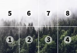 Fototapete DESIGNWALLS 2.0 - grün-weiß - Wald - 2,5 Meter 5 Fototapete DESIGNWALLS 2.0 - grün-weiß - Wald - 2,5 Meter -Baumarkt Verkaufsgeschäft 9004638300 03 1600Wx1600H