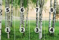 Fototapete DESIGNWALLS 2.0 - grün-weiß - Birkenwald - 2,5 Meter -Baumarkt Verkaufsgeschäft 9004639000 03 1600Wx1600H