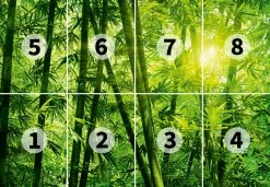 Fototapete DESIGNWALLS 2.0 - grün - Bambus - 2,5 Meter 5 Fototapete DESIGNWALLS 2.0 - grün - Bambus - 2,5 Meter -Baumarkt Verkaufsgeschäft 9004639100 03 1600Wx1600H