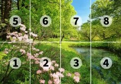 Fototapete DESIGNWALLS 2.0 - grün-rosa - See - 2,5 Meter -Baumarkt Verkaufsgeschäft 9004639200 03 1600Wx1600H