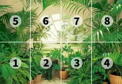 Fototapete DESIGNWALLS 2.0 - grün-weiß - Fensterblick - 2,5 Meter 5 Fototapete DESIGNWALLS 2.0 - grün-weiß - Fensterblick - 2,5 Meter -Baumarkt Verkaufsgeschäft 9004639300 03 1600Wx1600H