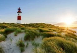 Fototapete DESIGNWALLS 2.0 - grün-rot - Leuchtturm - 2,5 Meter