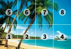 Fototapete DESIGNWALLS 2.0 - türkis-beige - Palmen - 2,5 Meter 5 Fototapete DESIGNWALLS 2.0 - türkis-beige - Palmen - 2,5 Meter -Baumarkt Verkaufsgeschäft 9004639600 03 1600Wx1600H