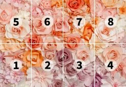 Fototapete DESIGNWALLS 2.0 - rosa-weiß - Rosen - 2,5 Meter -Baumarkt Verkaufsgeschäft 9004640300 03 1600Wx1600H