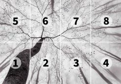 Fototapete DESIGNWALLS 2.0 - grau-weiß - Baum - 2,5 Meter 5 Fototapete DESIGNWALLS 2.0 - grau-weiß - Baum - 2,5 Meter -Baumarkt Verkaufsgeschäft 9004641500 03 1600Wx1600H
