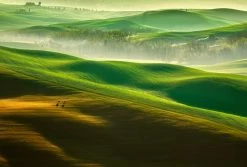 Fototapete DESIGNWALLS 2.0 - grün-gelb - Felder - 2,6 Meter