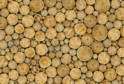 Fototapete DESIGNWALLS 2.0 - braun-beige/creme - Holz - 2,6 Meter