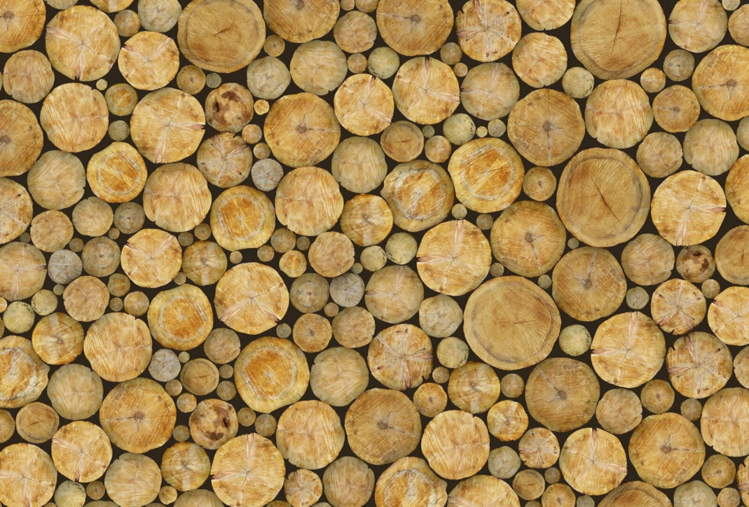 Fototapete DESIGNWALLS 2.0 - braun-beige/creme - Holz - 2,6 Meter 1 Fototapete DESIGNWALLS 2.0 - braun-beige/creme - Holz - 2,6 Meter