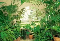 Fototapete DESIGNWALLS 2.0 - grün-weiß - Fensterblick - 2,6 Meter