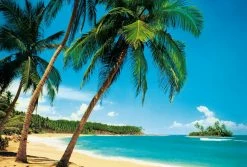 Fototapete DESIGNWALLS 2.0 - türkis-grün - Palmen - 2,6 Meter