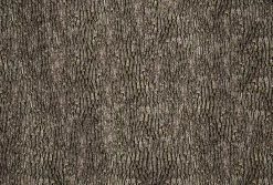 Fototapete DESIGNWALLS 2.0 - braun-grau - Holz - 2,6 Meter