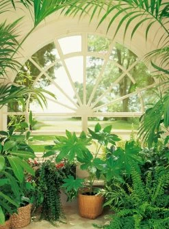 Fototapete DESIGNWALLS 2.0 - grün-weiß - Fenster - 2,6 Meter