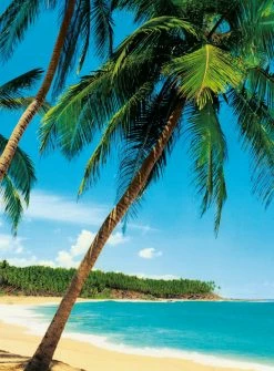 Fototapete DESIGNWALLS 2.0 - türkis-grün - Palmen - 2,6 Meter