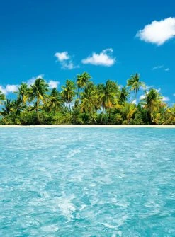 Fototapete DESIGNWALLS 2.0 - Insel - türkis-grün - 2,6 Meter