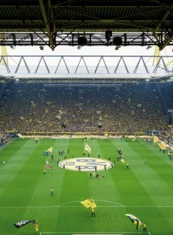 Fototapete DESIGNWALLS 2.0 - BVB - gelb-schwarz - 2,6 Meter