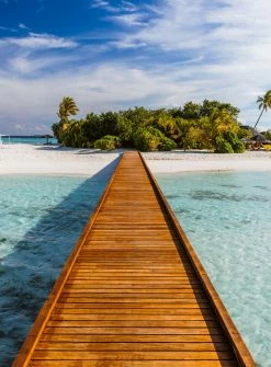 Fototapete DESIGNWALLS 2.0 - türkis-braun - Steg - 2,6 Meter