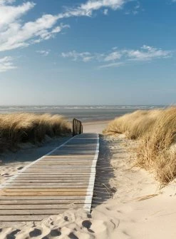 Fototapete DESIGNWALLS 2.0 - beige/creme-blau - Strand - 2,6 Meter