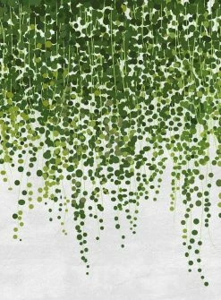 Fototapete DESIGNWALLS 2.0 - grün-grau - Ranken - 2,6 Meter