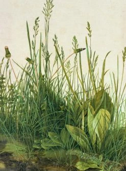 Fototapete DESIGNWALLS 2.0 - grün-beige/creme - Blumenwiese - 2,6 Meter