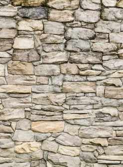 Fototapete DESIGNWALLS 2.0 - grau-beige/creme - Steinmauer - 2,6 Meter