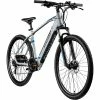 Zündapp Elektro Mountainbike 29" Z808 - silber-blau - 48 cm